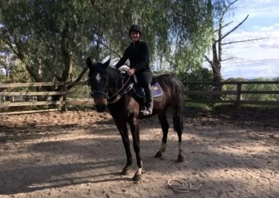 Animal : Nikita a Healing Journey